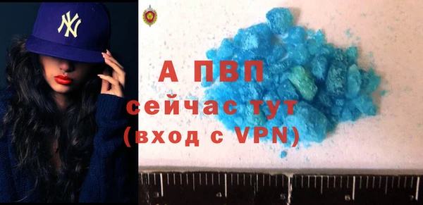 гидра Алексин