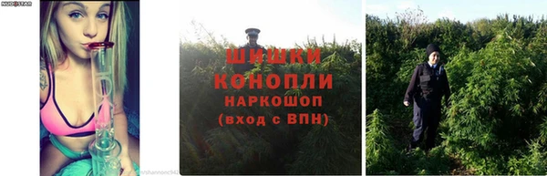 гидра Алексин