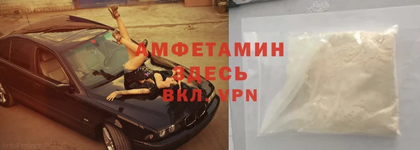 гидра Алексин