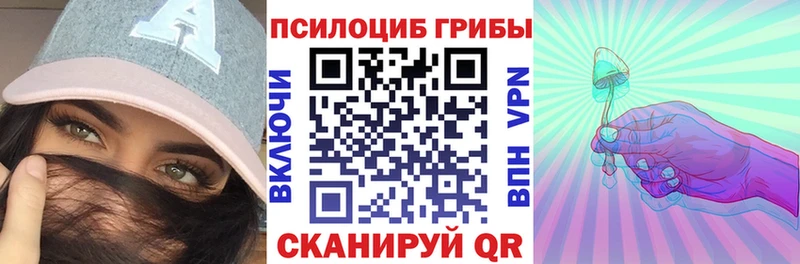 как найти закладки  Куйбышев  блэк спрут вход  Псилоцибиновые грибы MAGIC MUSHROOMS 