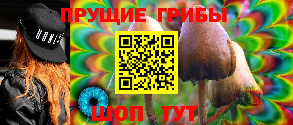 Псилоцибиновые грибы GOLDEN TEACHER  Вход с VPN  Галлюциногенные грибы ЛСД  Куйбышев 